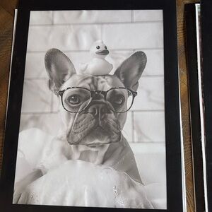 Adorable French bulldog print